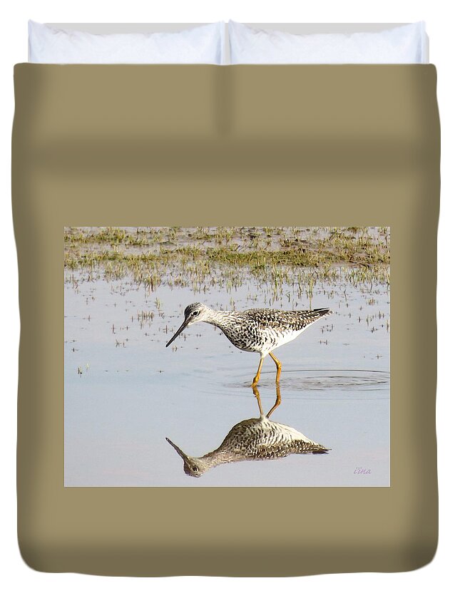 Greater Yellowlegs Duvet Cover featuring the photograph Morning Forage by I'ina Van Lawick