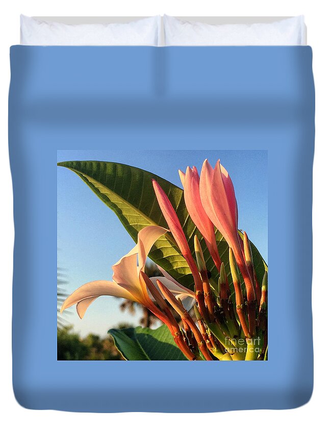 Plumeria Duvet Cover featuring the photograph Morning Heaven by LeeAnn Kendall
