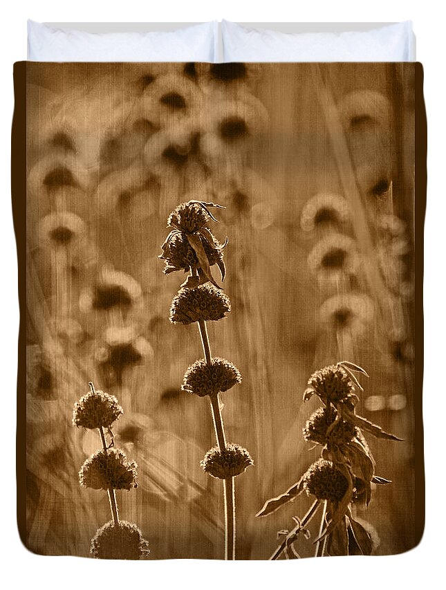 Weeds Duvet Cover featuring the photograph Morning in October Tint by Theo O'Connor