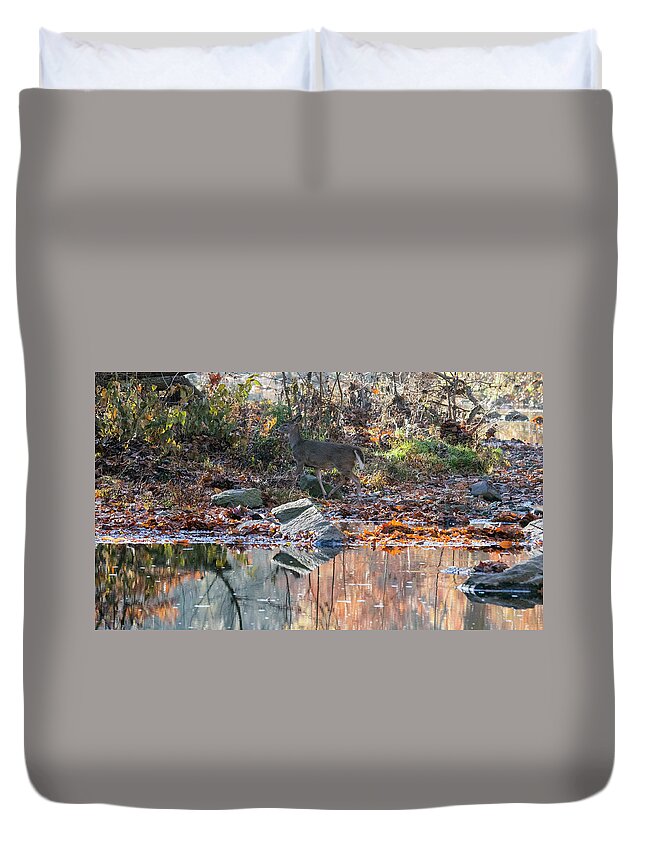 Wildlife Duvet Cover featuring the photograph Morning in the Woods by Paul Ross