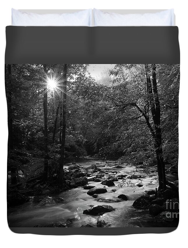 River Duvet Cover featuring the photograph Morning Light On The Stream by Mike Eingle