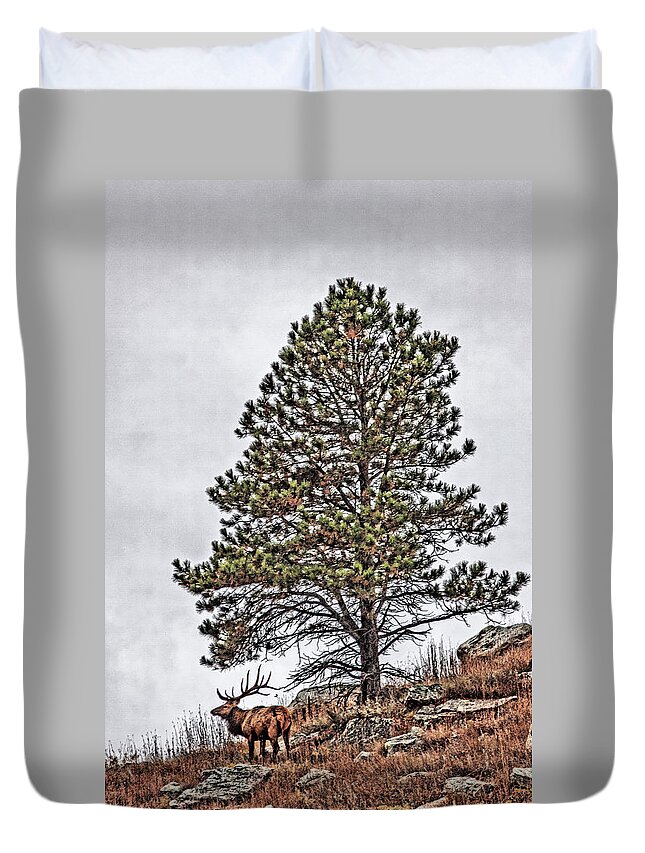 Morning Duvet Cover featuring the photograph Morning Mist 2 by Donald J Gray