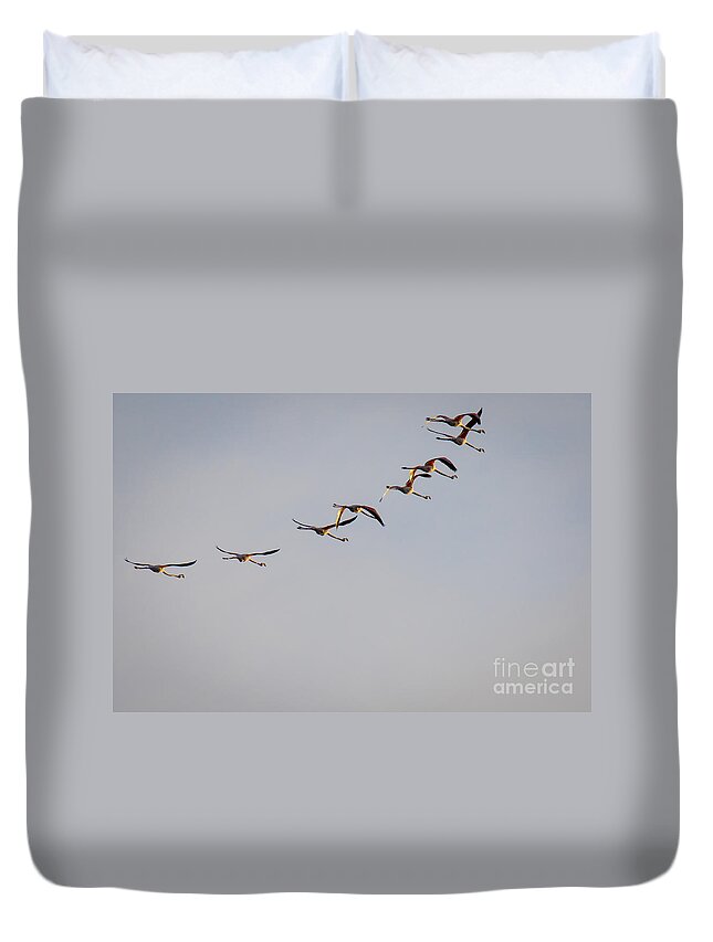 Animalia Duvet Cover featuring the photograph Morning Over The Lagoon by Jivko Nakev