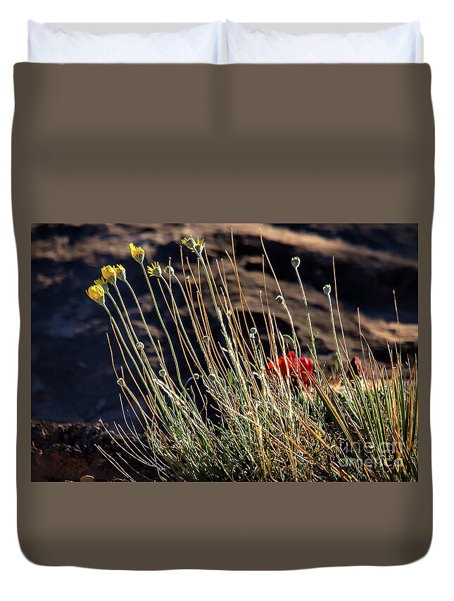 Wildflowers Duvet Cover featuring the photograph Morning Praise by Jim Garrison