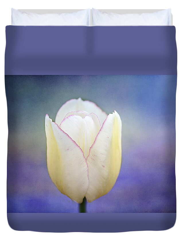 White Tulip Duvet Cover featuring the photograph Morning Star by Marina Kojukhova