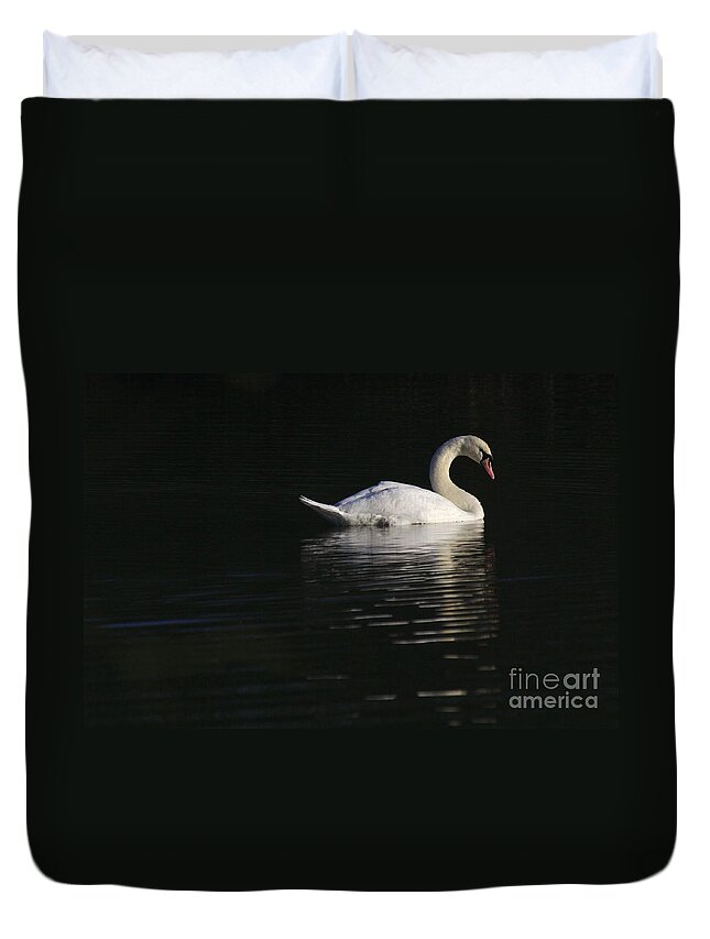 St James Lake Duvet Cover featuring the photograph Morning Swan by Jeremy Hayden