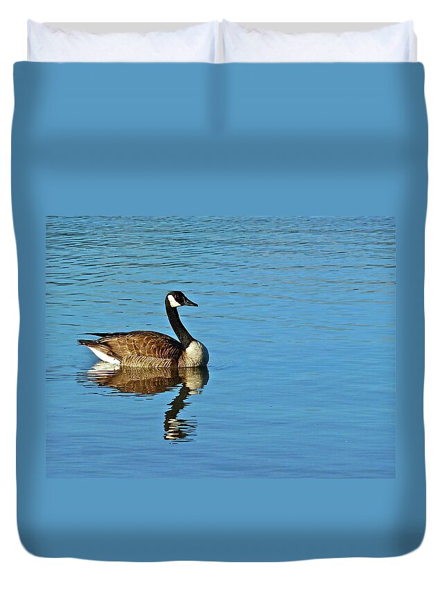 Birds Duvet Cover featuring the photograph Morning Swim by Diana Hatcher