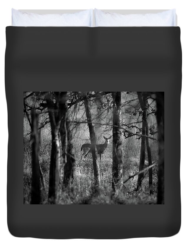 Fall Duvet Cover featuring the photograph Morning Visit by Jeff Phillippi