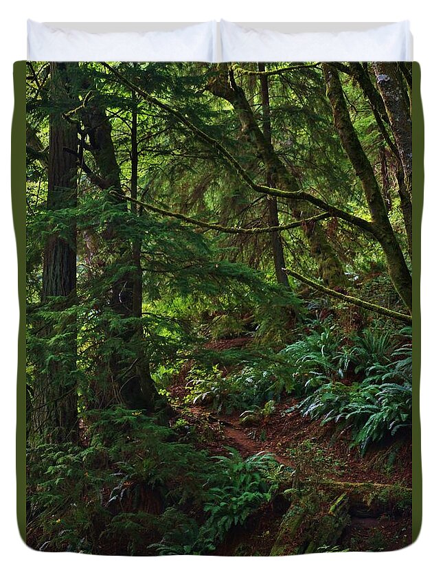 Woods Duvet Cover featuring the photograph Morning Walk by Craig Wood