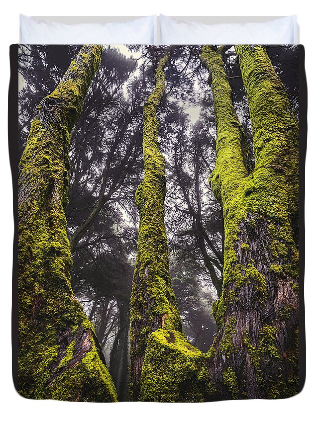 Tree Duvet Cover featuring the photograph Moss Covered Tree by Marco Oliveira