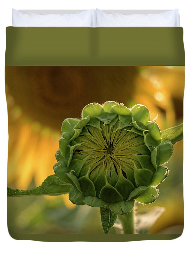Sunflower Duvet Cover featuring the photograph Mother and Child by Holly Ross