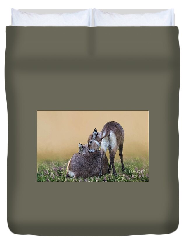 Waterbucks Duvet Cover featuring the photograph Mother and Child Waterbucks by Eva Lechner