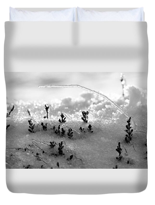 Nature Duvet Cover featuring the photograph Mother nature always finds the way by Lukasz Ryszka