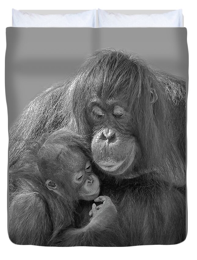 Orangutan Duvet Cover featuring the photograph Motherhood 10 by Larry Linton