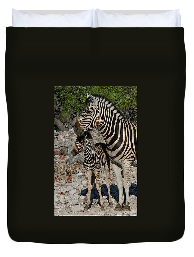 Zebra Duvet Cover featuring the photograph Motherly Love by Bruce J Robinson