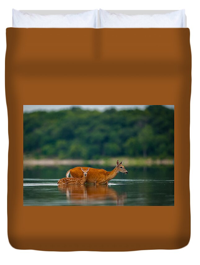 Nature Duvet Cover featuring the photograph Mother's Courage by Jeff Phillippi