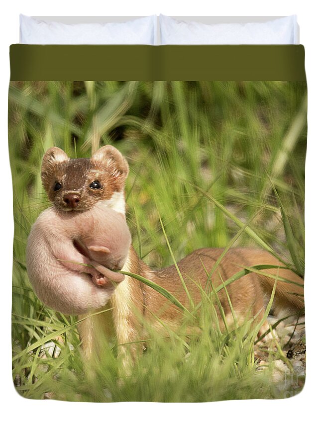 Mammal Duvet Cover featuring the photograph Mothers Love by Dennis Hammer