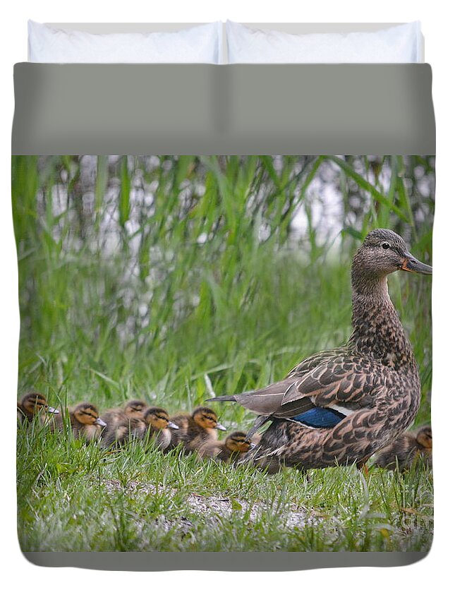 Duck Duvet Cover featuring the photograph Mother's March by Vivian Martin