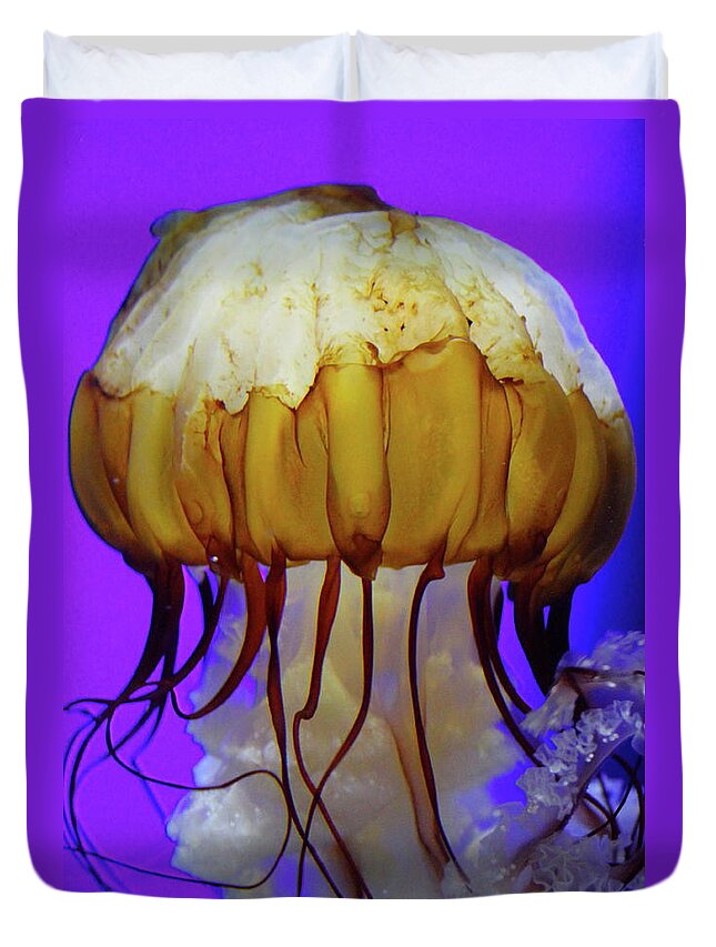 Jelly Duvet Cover featuring the photograph Motion in Reds And Oranges by Laddie Halupa