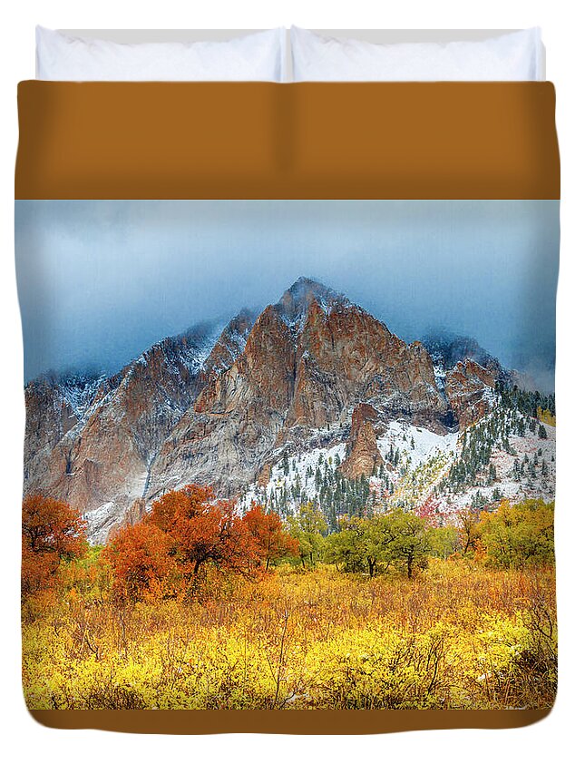 Aspen Trees Duvet Cover featuring the photograph Mountain Autumn Color by Teri Virbickis