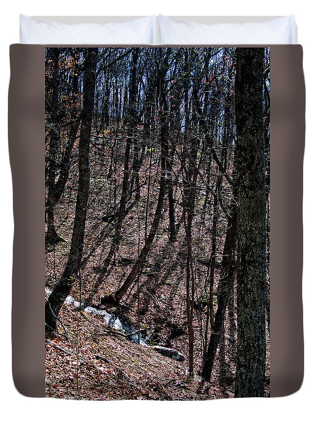 Creek Duvet Cover featuring the photograph Mountain Creek by George Taylor