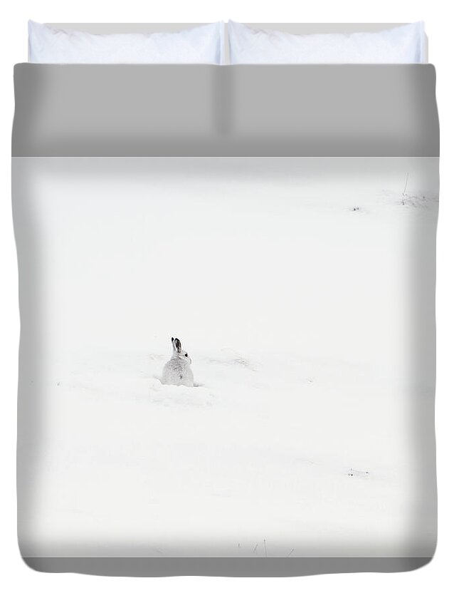 Mountain Duvet Cover featuring the photograph Mountain Hare Small In Frame Left by Pete Walkden