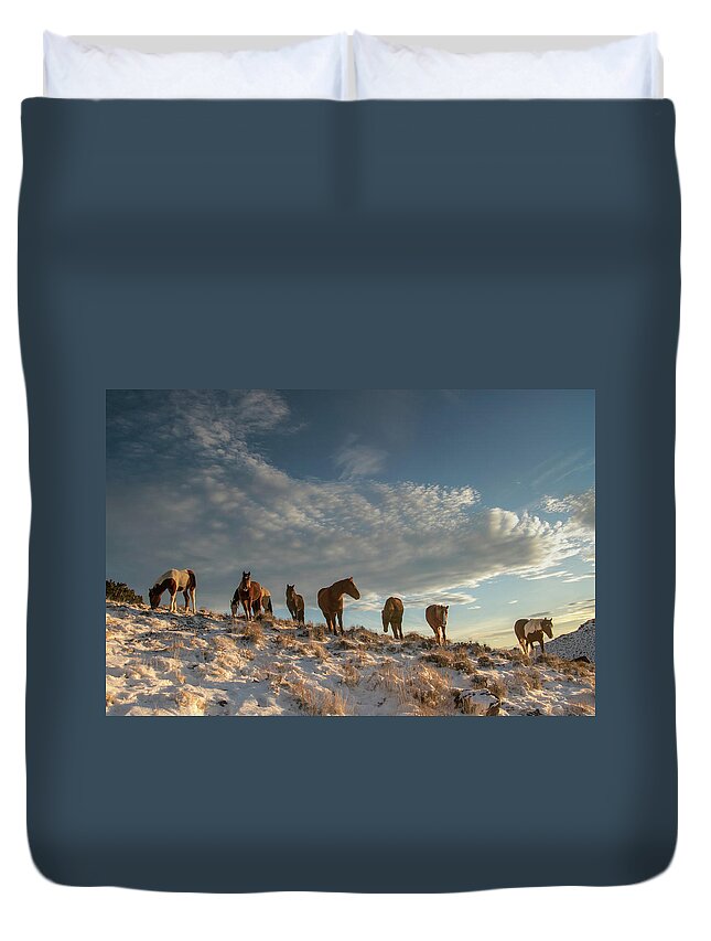 Horse Duvet Cover featuring the photograph Mountain Light by Kent Keller