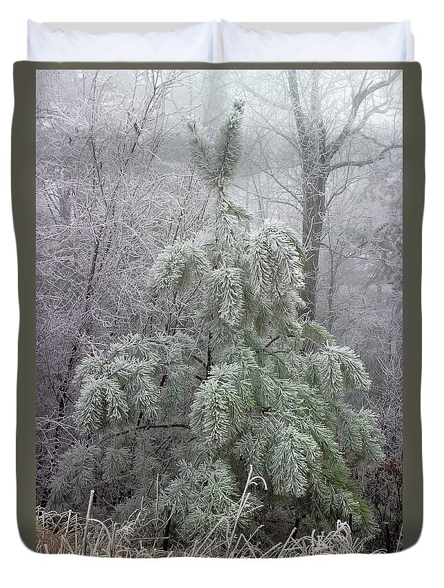 Pine Tree Duvet Cover featuring the photograph Mountain Top Frost by Mike Eingle