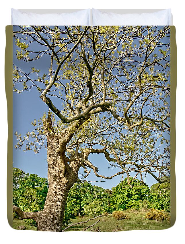 Tree Duvet Cover featuring the photograph Moving Up. by Elena Perelman