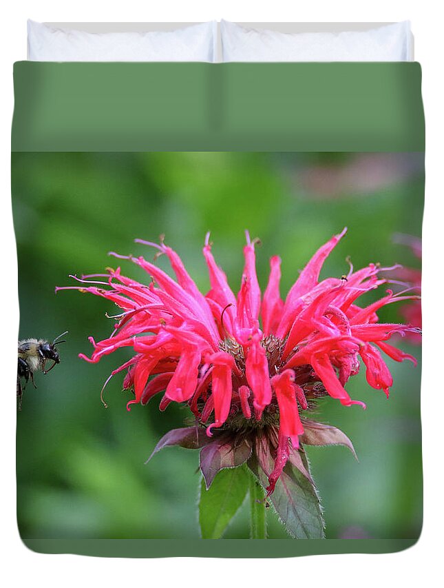 Bumble Bee Duvet Cover featuring the photograph Mr. Brumble and Bee Balm by Brook Burling