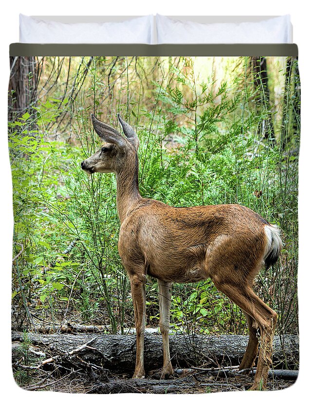Mule Deer Duvet Cover featuring the photograph Mule Deer Doe - Yosemite by Kristia Adams