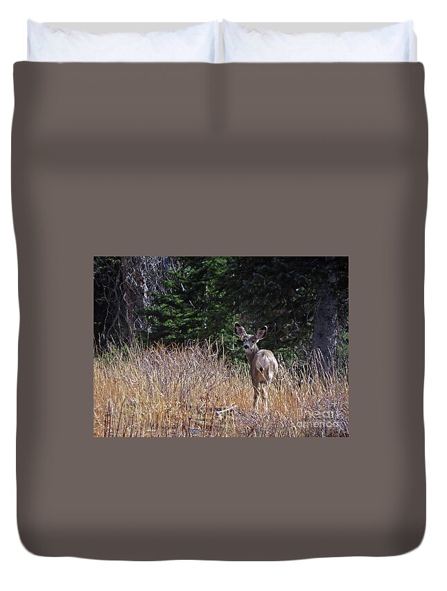 Mule Deer Duvet Cover featuring the photograph Mule Deer in Utah by Cindy Murphy - NightVisions
