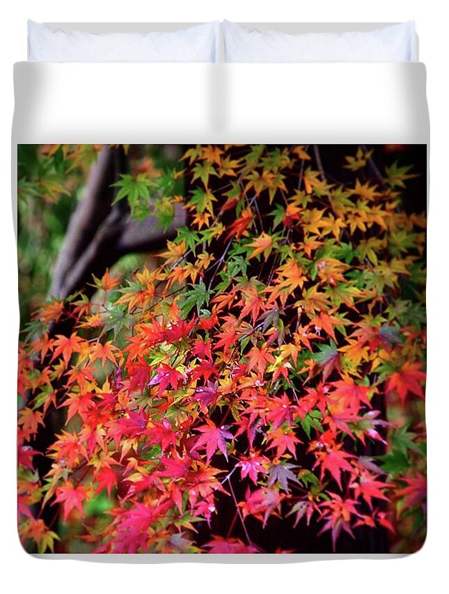 Aitumnleaves Duvet Cover featuring the photograph Multicolored Autumn Leaves by Ippei Uchida