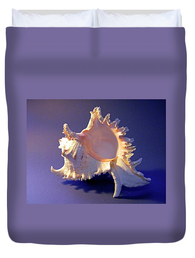 Frank Wilson Duvet Cover featuring the photograph Murex ramosus Seashell by Frank Wilson