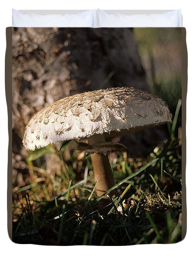 Mushroom Duvet Cover featuring the photograph Mushroom I by Sharon Elliott