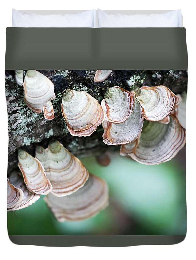 Tree Duvet Cover featuring the photograph Mushroom Madness by Mary Anne Delgado
