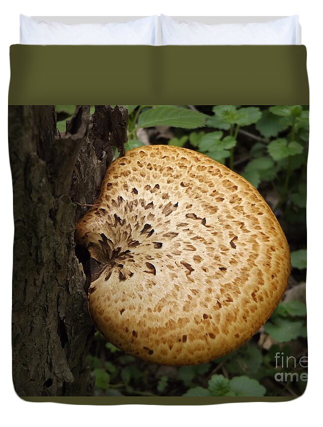 Nature Duvet Cover featuring the photograph Mushroom Up Close by Erick Schmidt