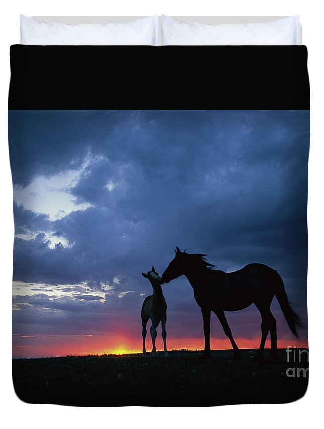 00340054 Duvet Cover featuring the photograph Mustang and Foal at Sunset by Yva Momatiuk John Eastcott