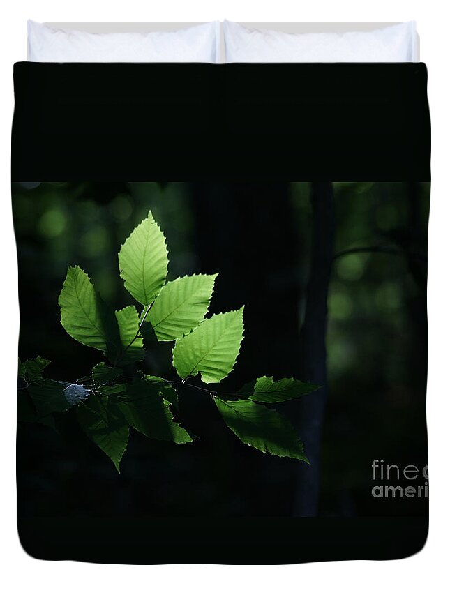 Forest Duvet Cover featuring the photograph Mute And Motionless As If Himself A Shadow by Linda Shafer