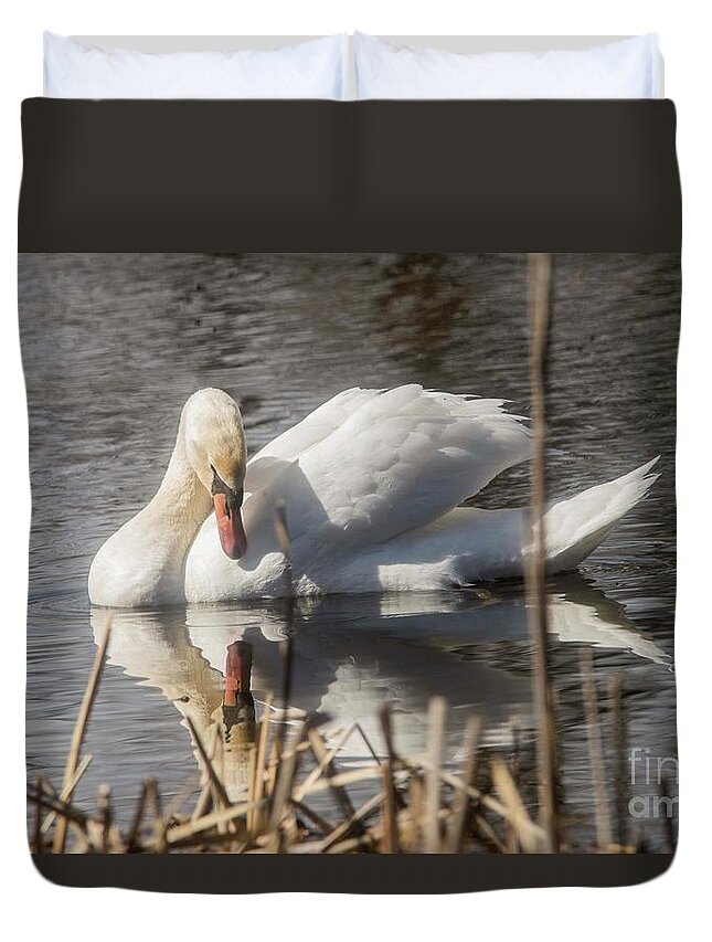 Mute Swan Duvet Cover featuring the photograph Mute Swan - 3 by David Bearden