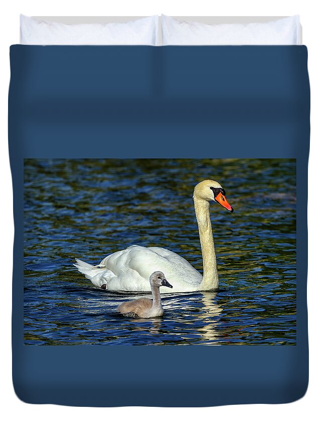 Swan Duvet Cover featuring the photograph Mute swan, cygnus olor, mother and baby by Elenarts - Elena Duvernay photo