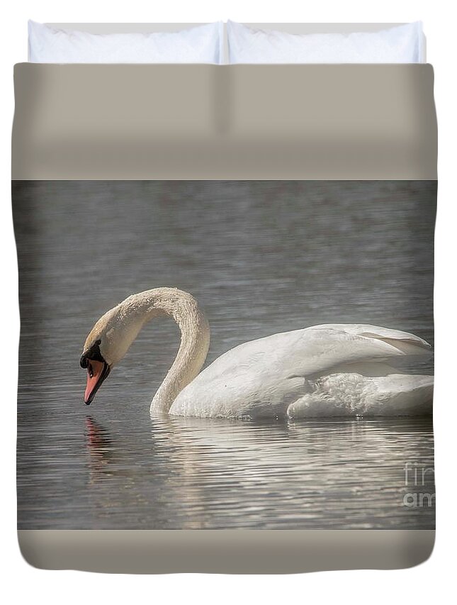 Mute Swan Duvet Cover featuring the photograph Mute Swan by David Bearden