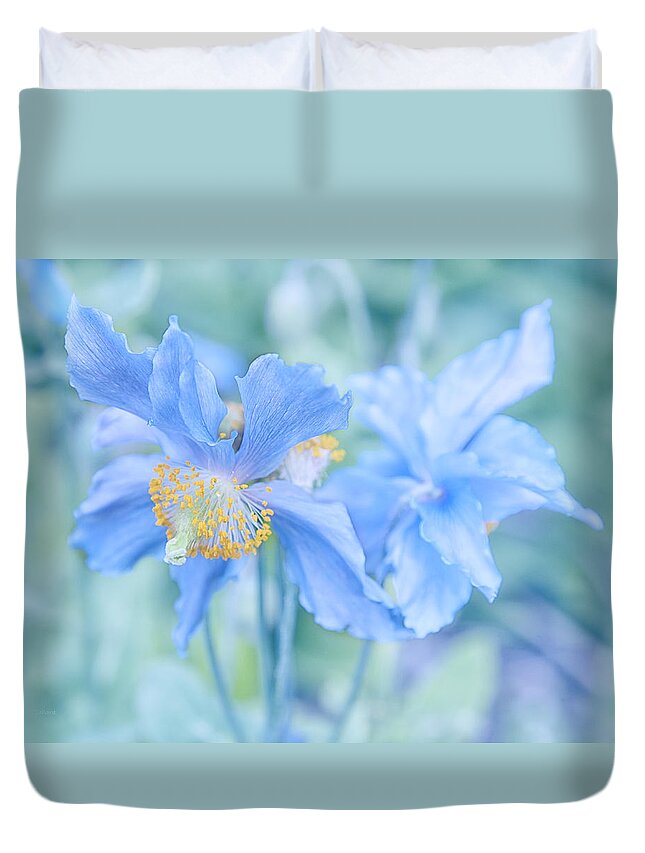 Alaska Duvet Cover featuring the photograph My Blue Heaven by Theresa Tahara