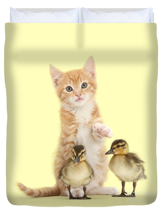 Duck Duvet Cover featuring the photograph My Easter Duckies by Warren Photographic