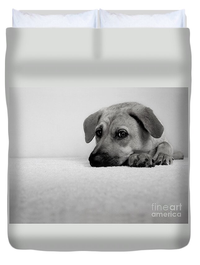 Animal Duvet Cover featuring the photograph My Girl by Dana DiPasquale