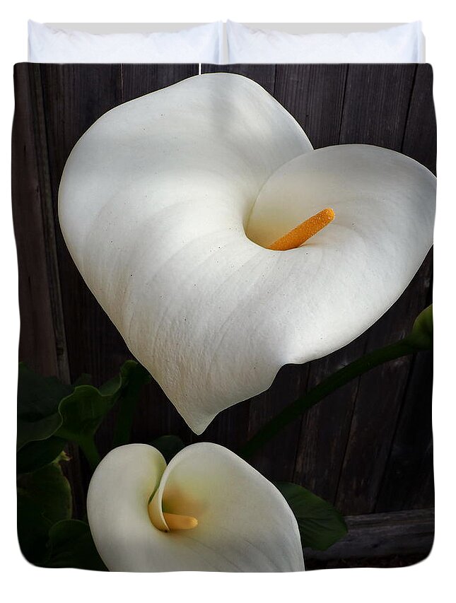 Botanical Duvet Cover featuring the photograph My Heart Calla Lilies by Richard Thomas