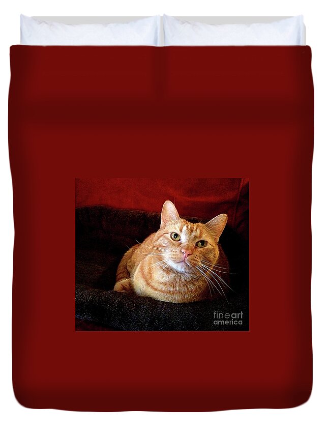 Illinois Duvet Cover featuring the photograph My True Love by Luther Fine Art