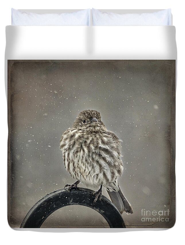 Wildlife Duvet Cover featuring the photograph My Winter Sparrow by Janice Pariza
