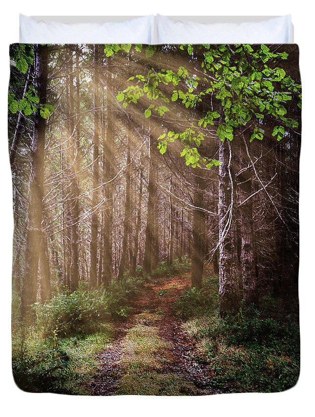Appalachia Duvet Cover featuring the photograph Mystery at Dawn by Debra and Dave Vanderlaan