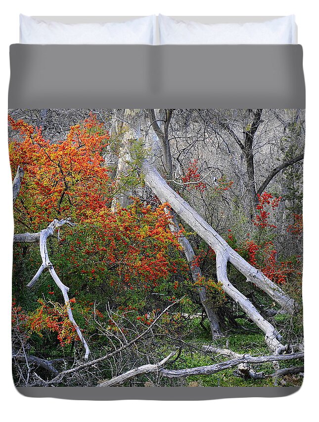 Berries Duvet Cover featuring the photograph Mystical Woodland by Tranquil Light Photography